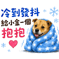 小金 氣象台4.0