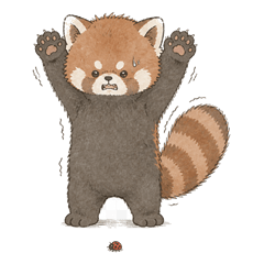 Brave Little Red Panda