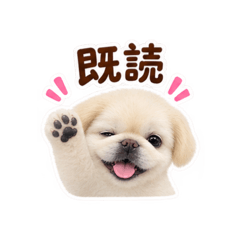yu_20260829144933