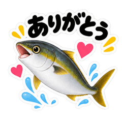 chigumaru_20260829151452