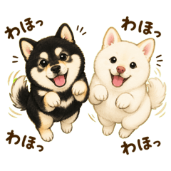 ikepon_20260829150407