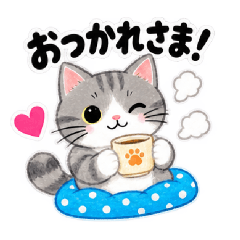 Everyday Cat Phrase Stickers