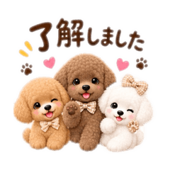 ario_20260829151356