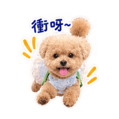 甜甜的甜日常