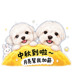 曼尼美女來！月亮都讓位