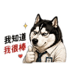 陽光小靚女：哈士奇胖哥我知道我很棒