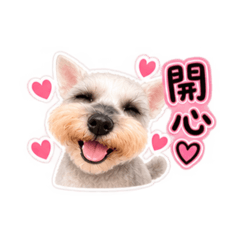 超萌LaLa