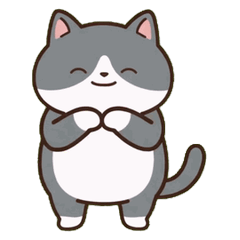 Deadpan Acrobat Cat