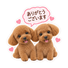 MINA_20260829151816