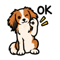 uchinowanco_Kooikerhondje1