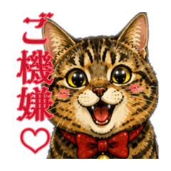 mekeALOAHA_20260829153543