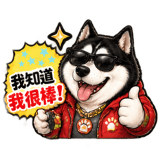 陽光小靚女：哈士奇胖哥就是棒