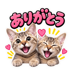 azuma_20260828230018