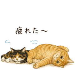 natsuki_20260828161037