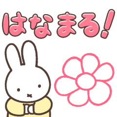 みんな はなまる!ミッフィー