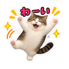 Mugi Suitable for everyday use
