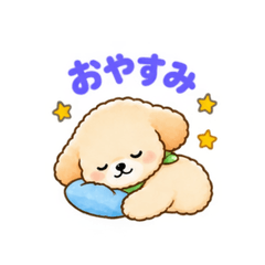 Cute poodle "mofumaru"