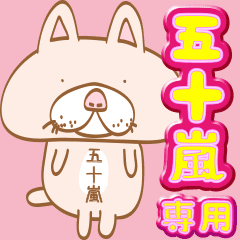 Igarashi only/Middle-aged male cat