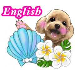 Hawaian flower and redtoypoodle English