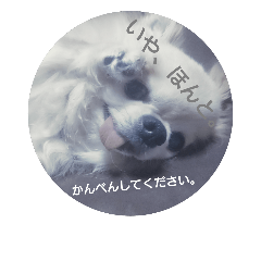 EVERYDAY CHU-TAkun