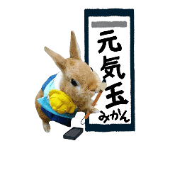 うさぎのみかん 2 Line スタンプ Line Store うさぎのみかん 2 Line スタンプ Line Store