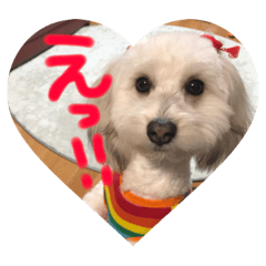 rrikku