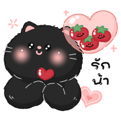 Tomato cat : Daily words