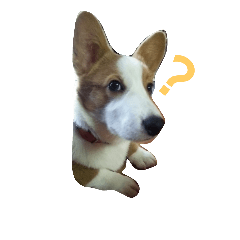 Welsh Corgi "L"