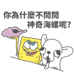 海綿寶寶 x 變種吉娃娃 今天是你生日