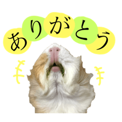 chibitachi stamp vol.1