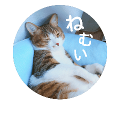 のんちゃんねる - LINE スタンプ | LINE STORE