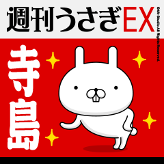 "Terashima" Name Feature / Showa