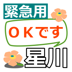 Emergency use[hoshikawa,naruta]name