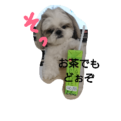 mimi2018