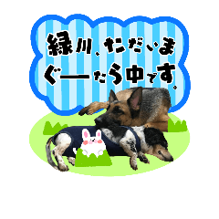 Midorikawa family sticker.