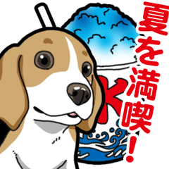 Wanko-Biyori Beagle Puppy 5