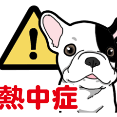 Wanko-Biyori Puppy of French Bulldog 3