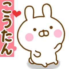 Rabbit Usahina love koutan