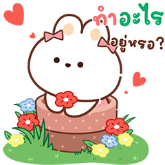 มาริ มาริ กระต่ายสุดคิ้วท์ แบบบิ๊กๆ