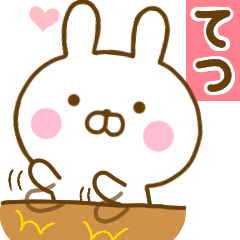 Rabbit Usahina love tetu