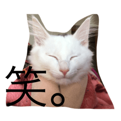 yokoyamafam.