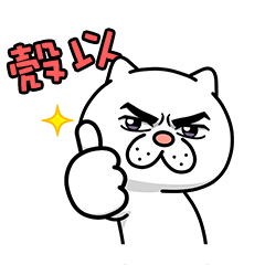 動起來更煩人！煩人的貓咪5