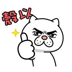 Annoying Cat Animated Stickers 5