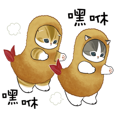 蝦子貓咪