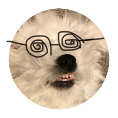 Bichon Frize's Millie Stamp 3