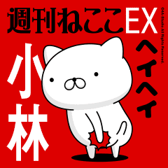 Move "KOBAYASHI" name sticker feature