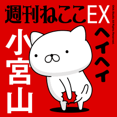Move "KOMIYAMA" name sticker feature