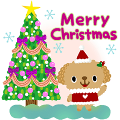 Picture Book TOY POODLE Xmas & New Year