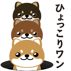 hyokkoriwan's Vol.1