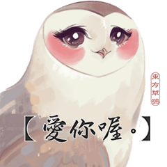 Crazy Taiwan Owl
